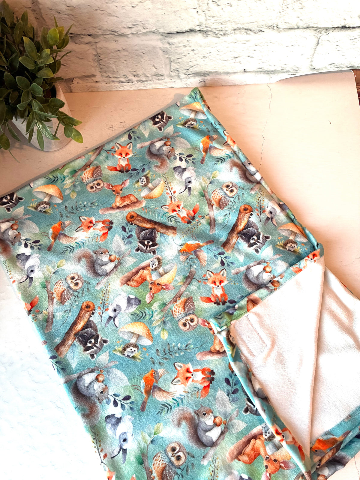 Couverture Minky squish | Animaux