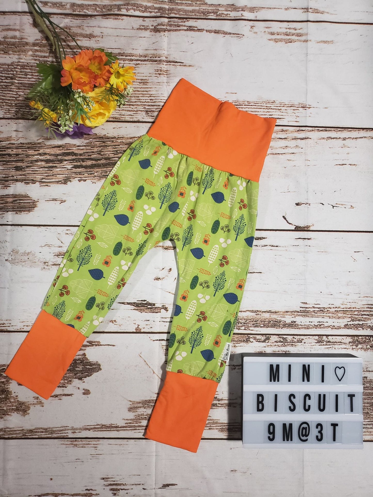Automne 9m/3T