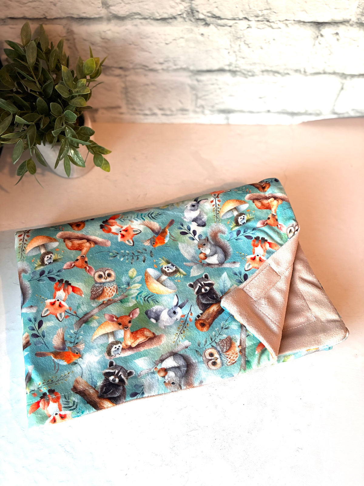 Couverture Minky squish  | animaux