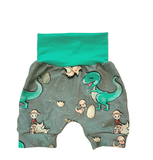 Paleontologist shorts aqua